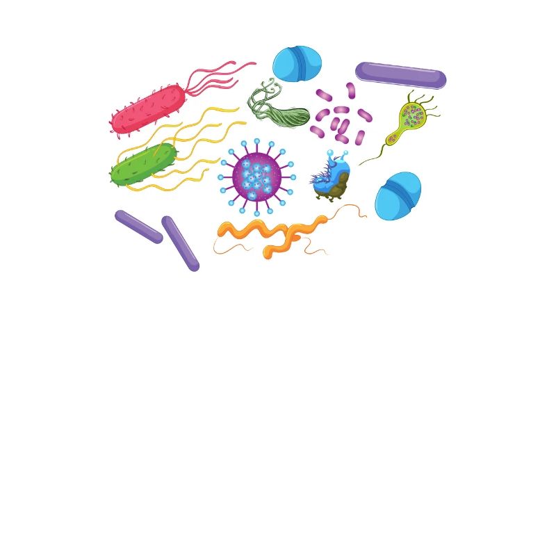 Bactéries phages amibes - Soupe primordiale