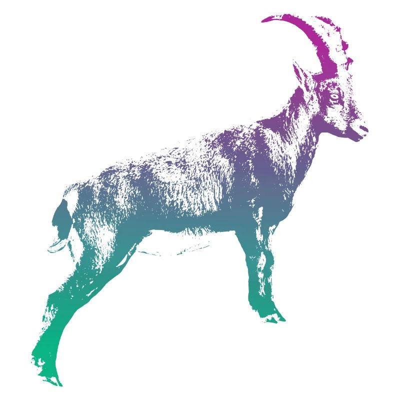 Steinbock Huftier Sternzeichen Steinbock Gams Horn