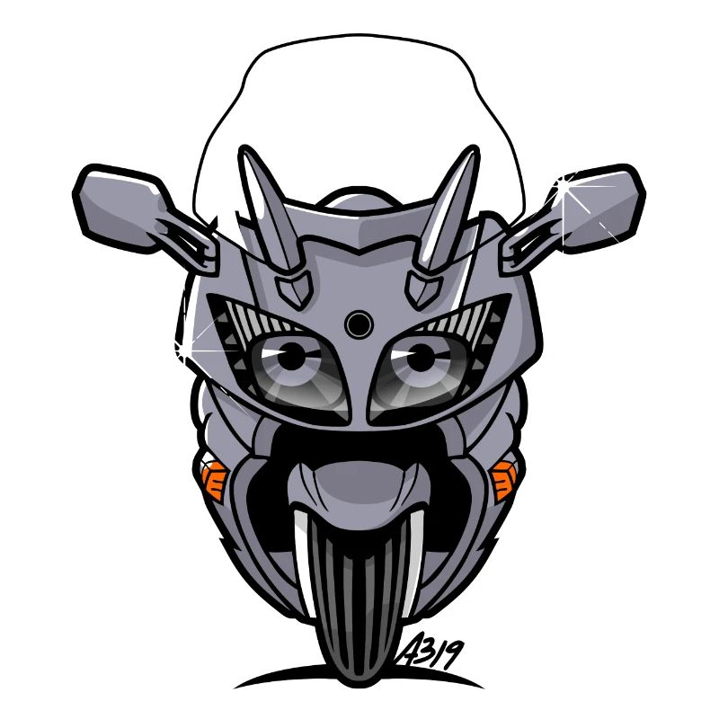 FJR silverstorm