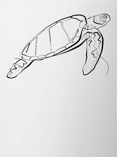 Turtle - one line drawing