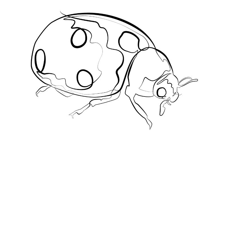 Coccinelle - one line drawing