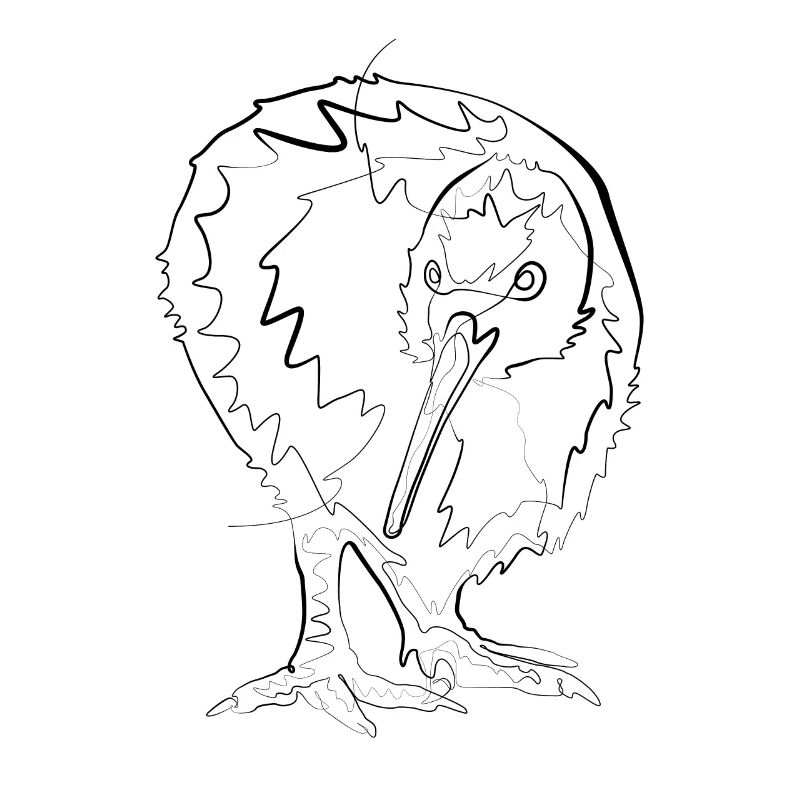 Kiwi Vogel Australien - one line drawing