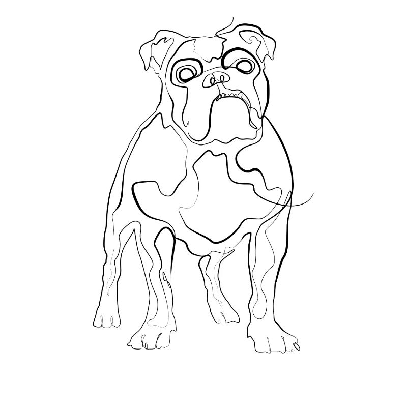 Bulldog - one line drawing