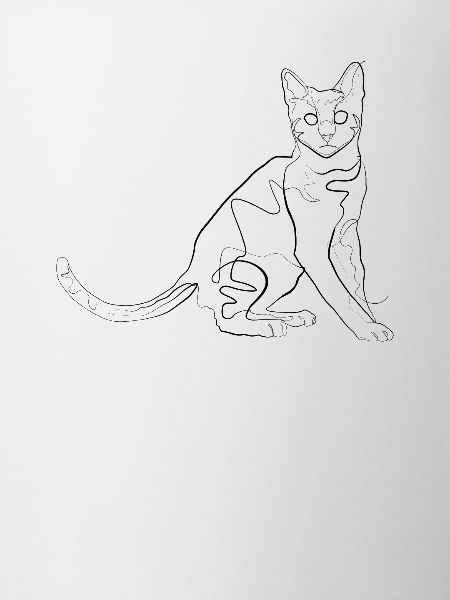 Chat - one line drawing