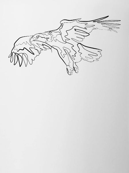 Adler Vogel - one line drawing