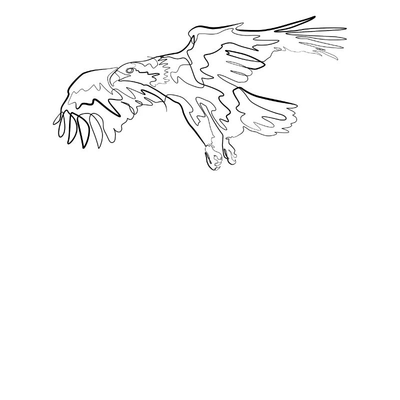 Adler Vogel - one line drawing