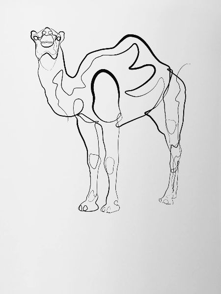 Camel Dromedary - one line drawing