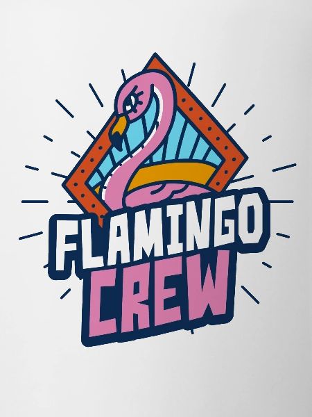 Équipe Flamingo