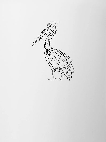 Pelican - one line drawing