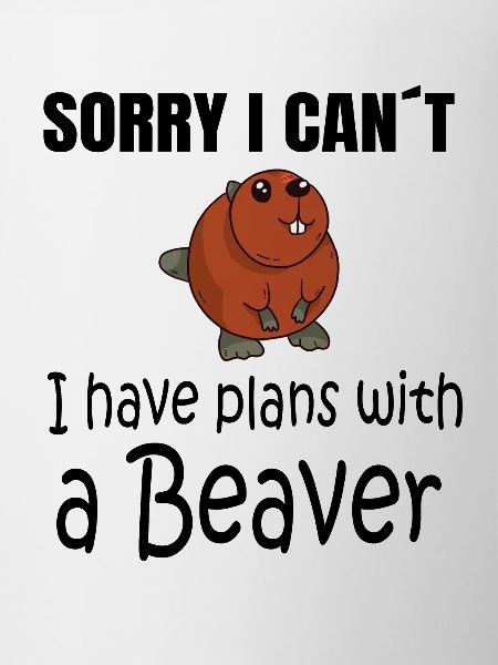 BEAVER: Plans with a Beaver