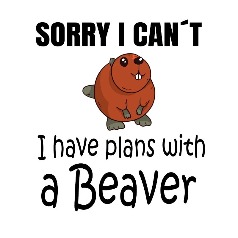 BEAVER: Plans with a Beaver