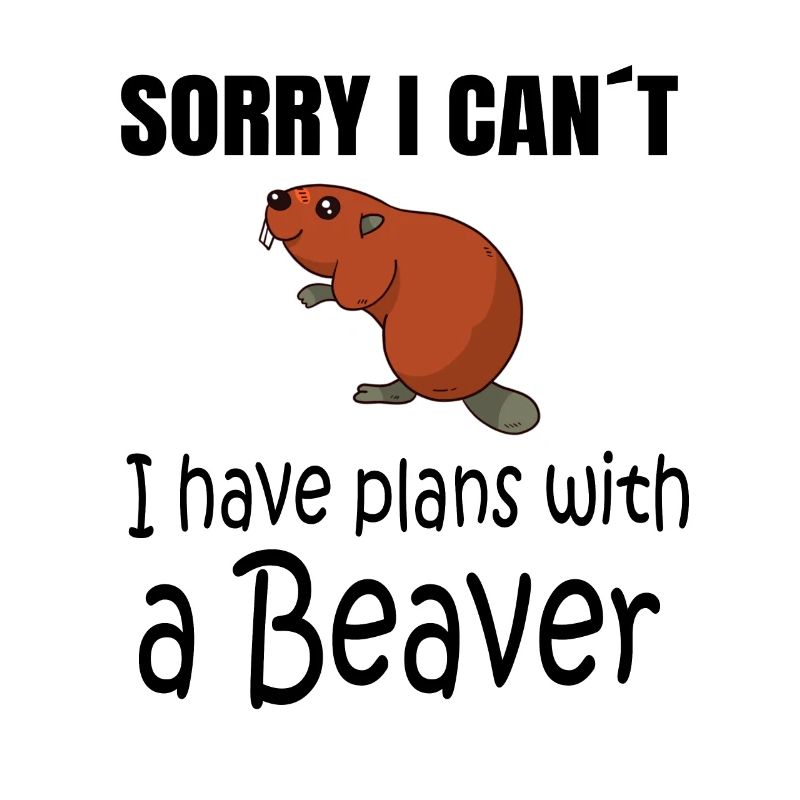 BEAVER : Plans with a Beaver