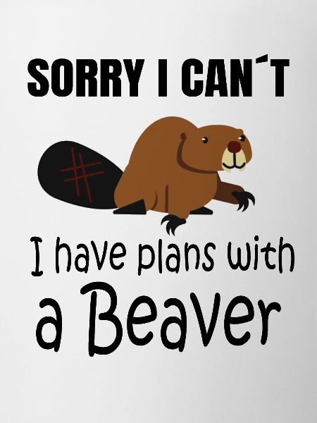 BEAVER: Plans with a Beaver