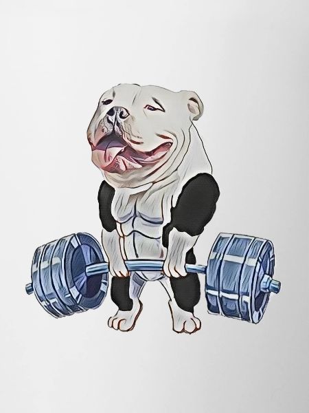 Muscle Bully