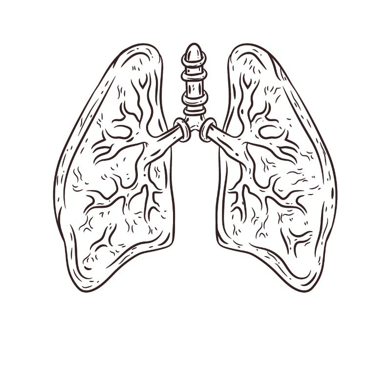 lung