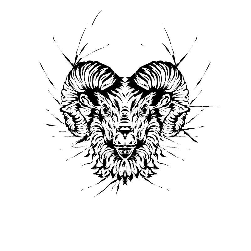 Ram
