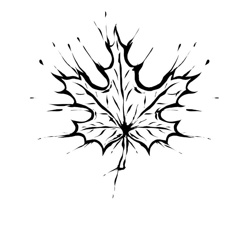 Feuille d’érable