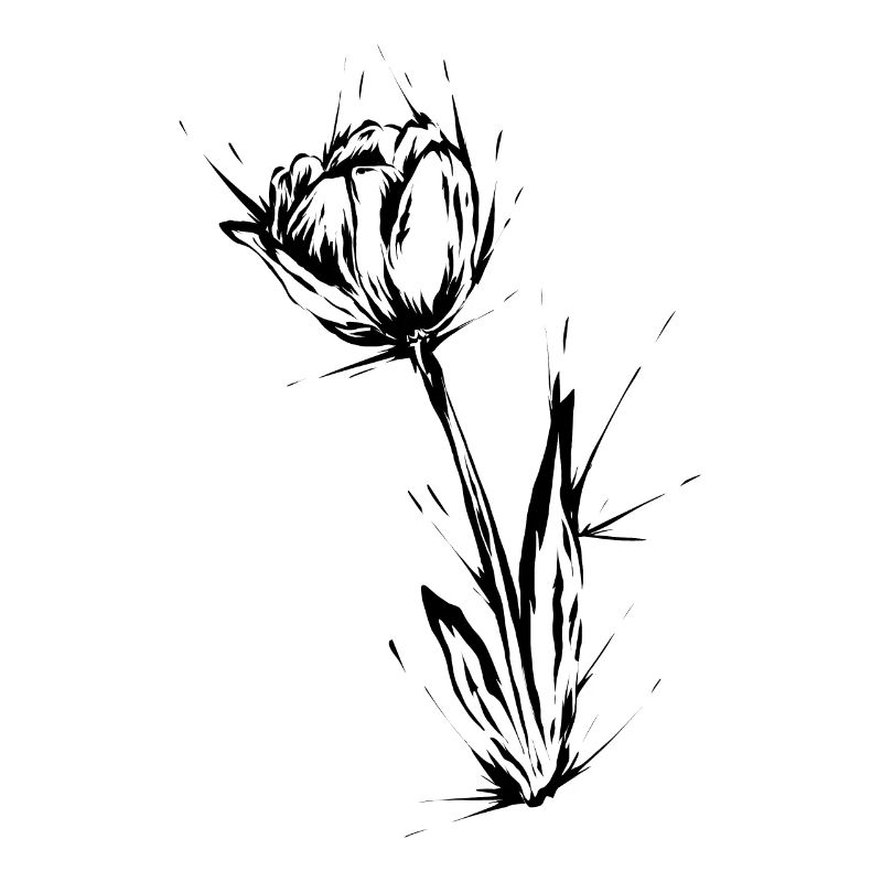 Fleur de tulipe
