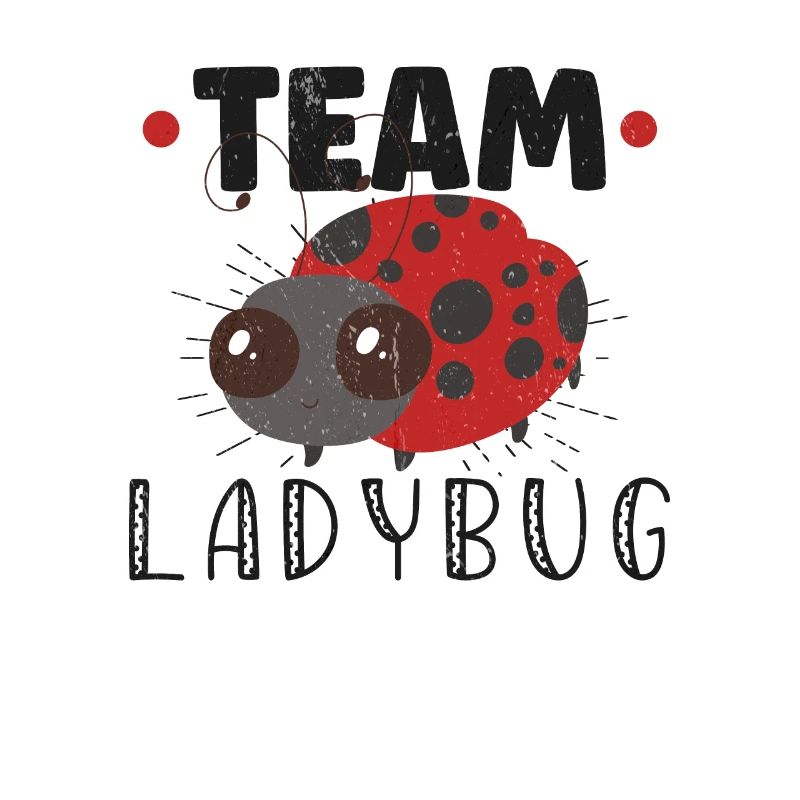 Ladybug Ladybug Entomology Insects