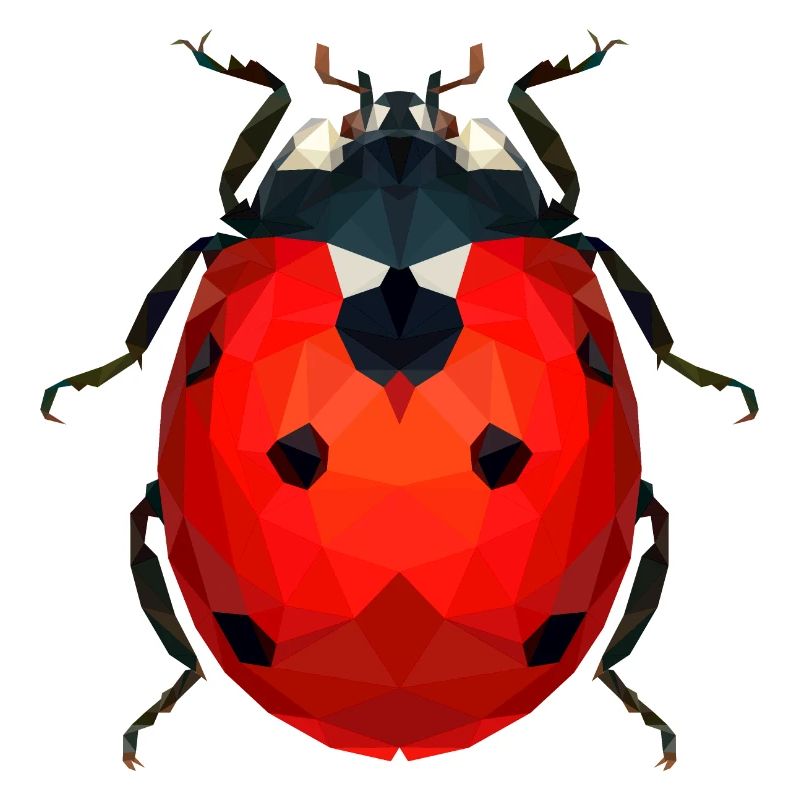 Ladybug
