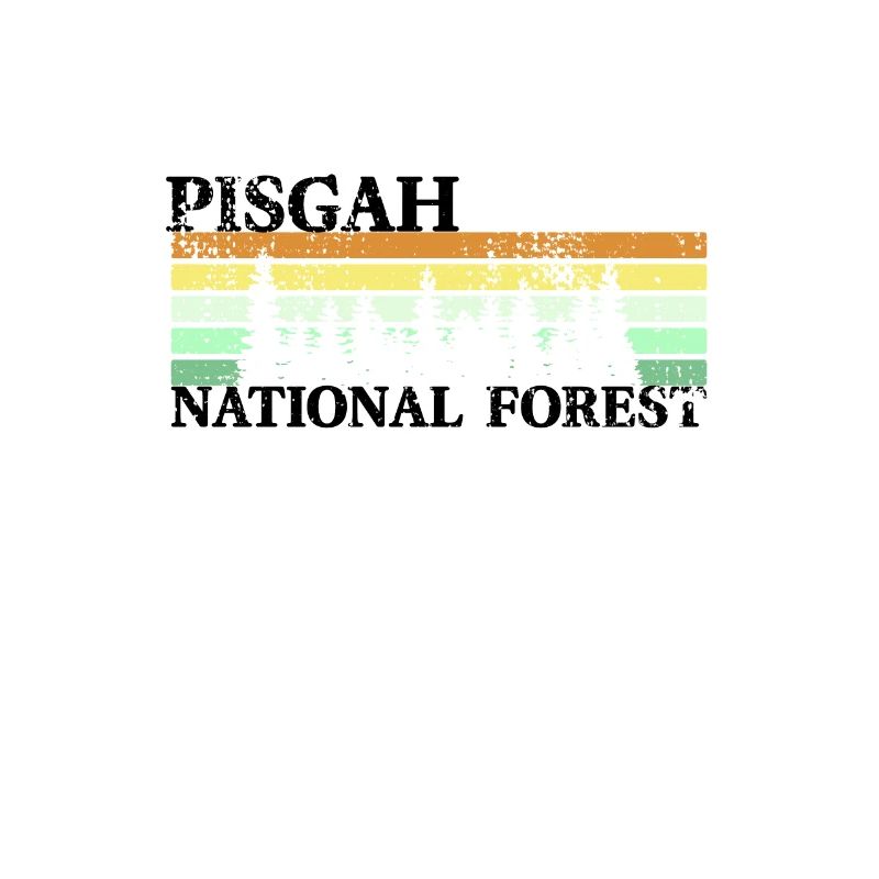 Rétro de la forêt nationale de Pisgah