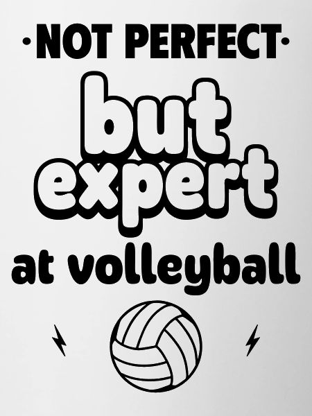Expert at volleyball