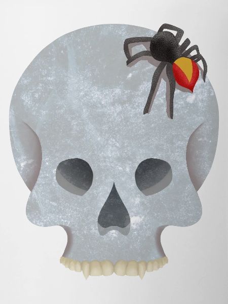 Schädel mit Spinne
