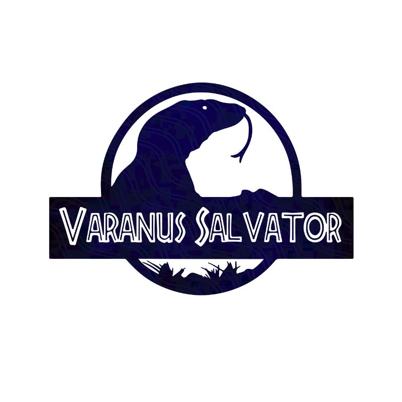 Varanus salvator // Bindenwaran, Echsen