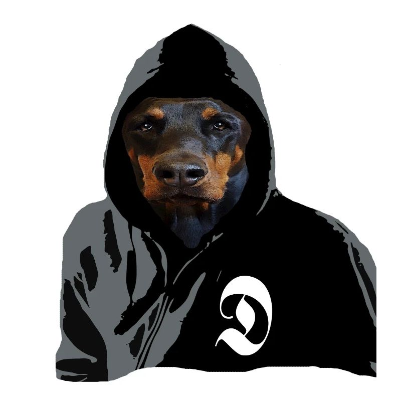 Doberman chien de race, Doberman