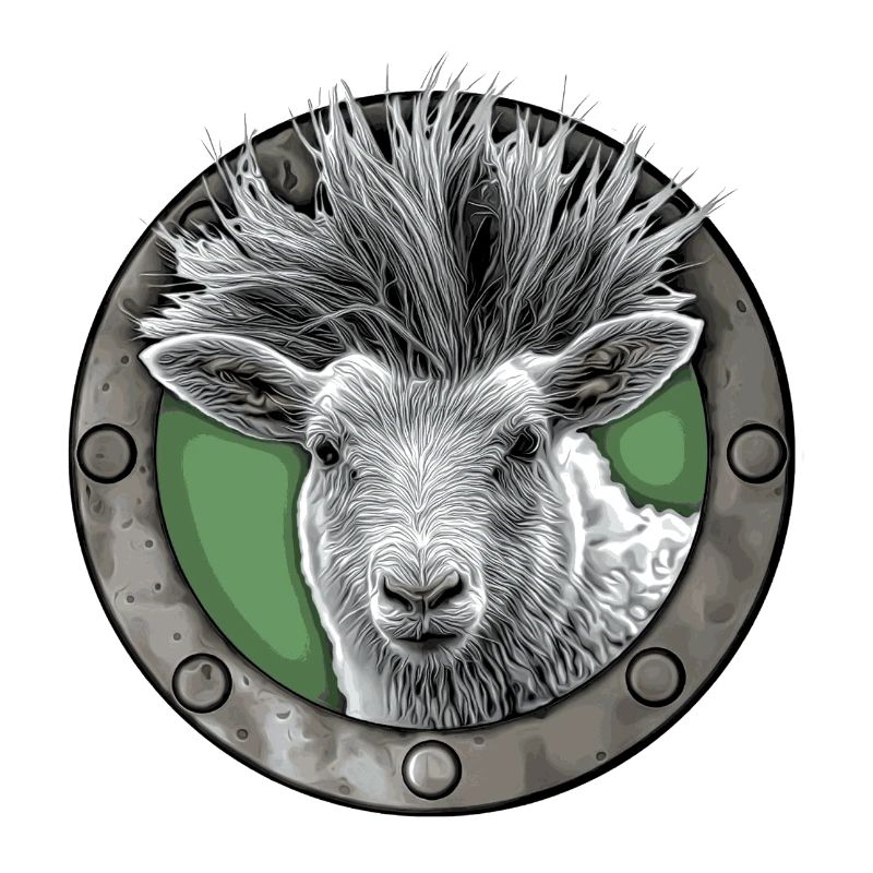Punkschaf