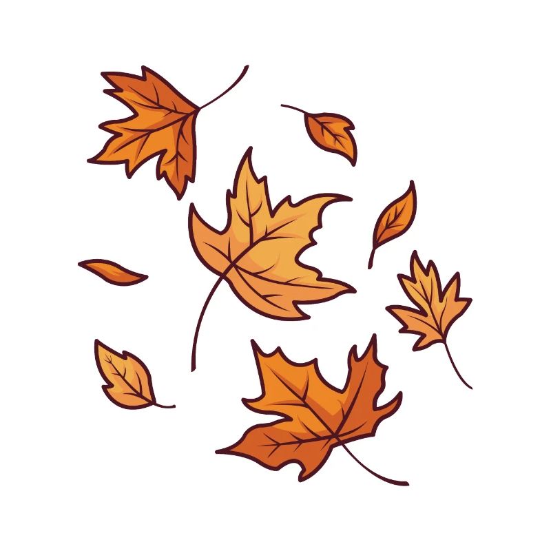Fall Leaves