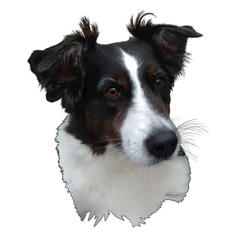 Lumpi,black/white with brown eyes