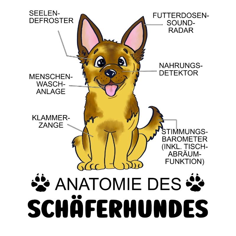 Anatomie des Schäferhundes
