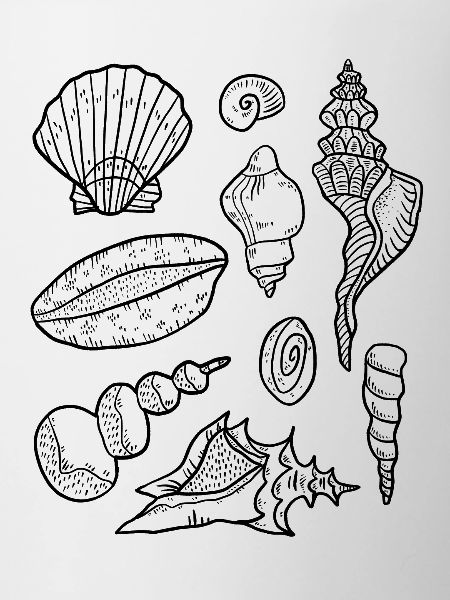 Moules