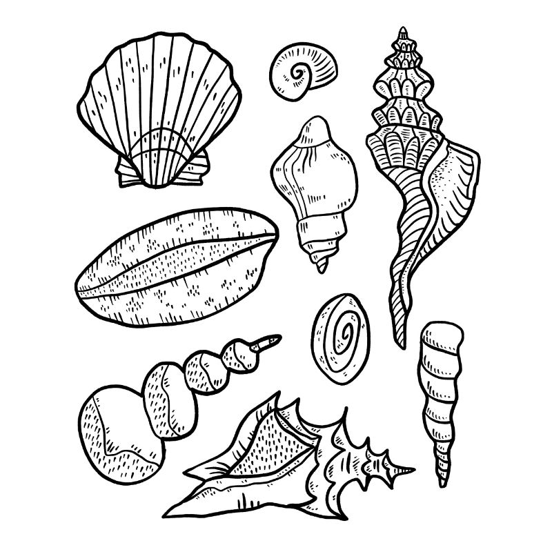 Moules