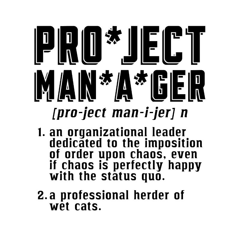 Project Manager An Organizational Leader Project