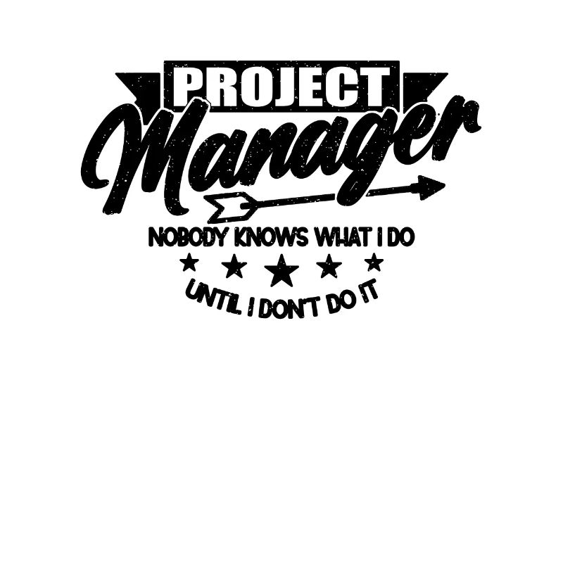 Project Manager Nobody Knows Team Leader Manager