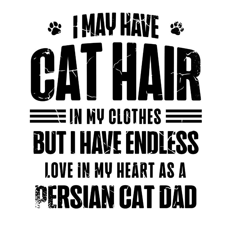 Chat Persan Chat Amoureux Chat Propriétaire Persan Cheveux Long C