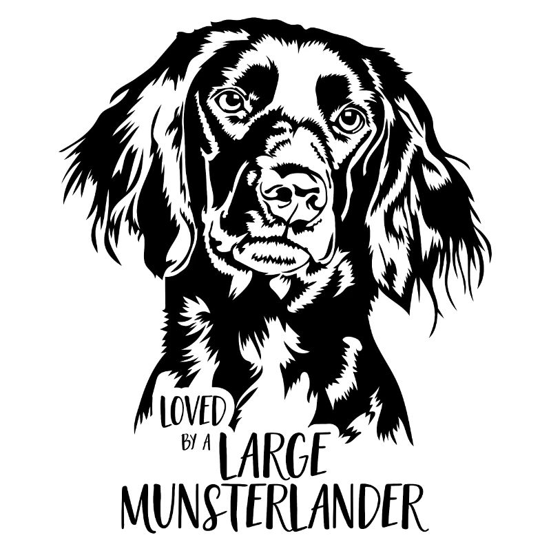 Loved by a Large Munsterlander Hund Hunde Wilsigns
