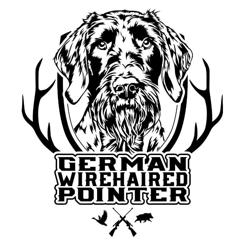 German Wirehaired Pointer Jagdhunde Hunde Wilsigns