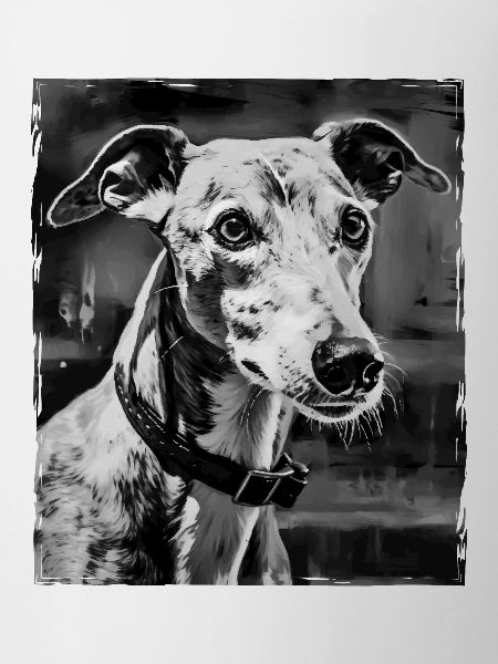 Greyhound Dog Portrait