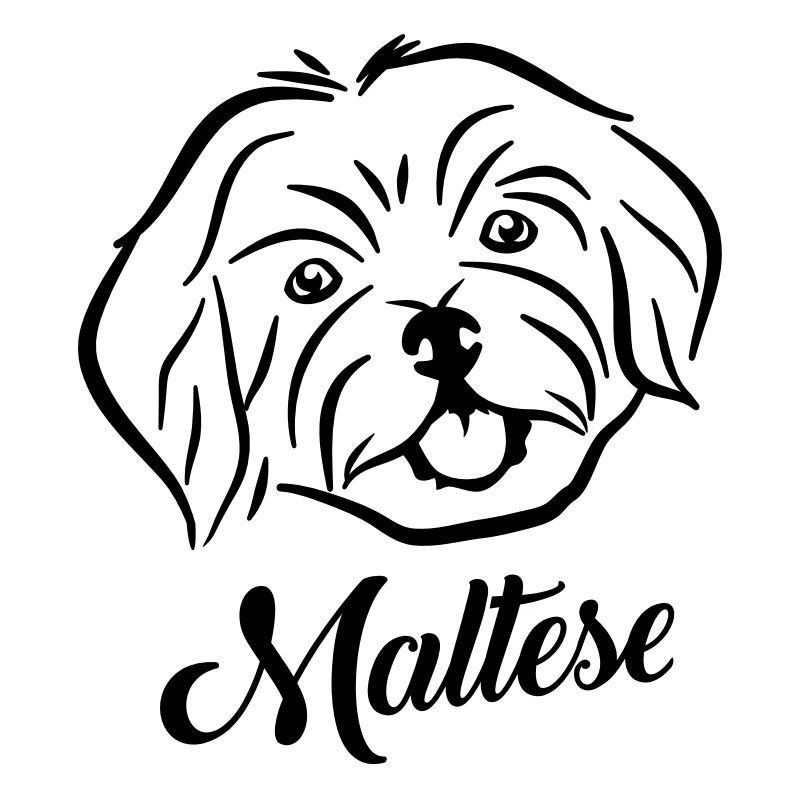 Maltese