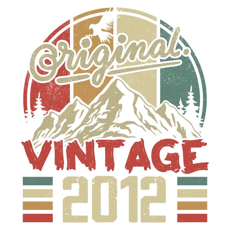 Vintage 2012 Retro Birthday Gift Born In 2012