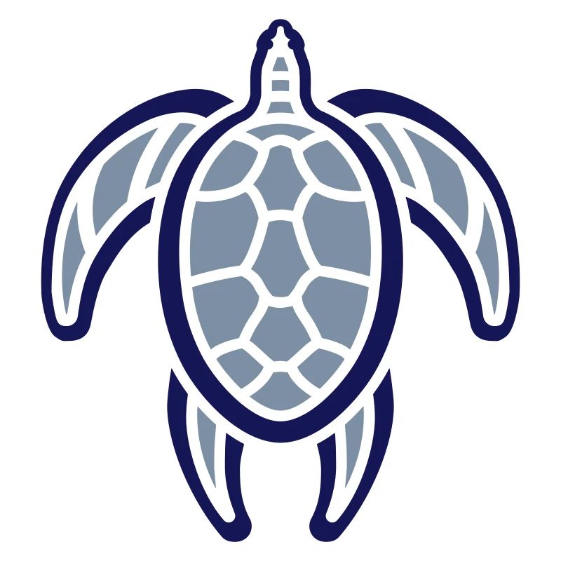 Tortue de petite taille