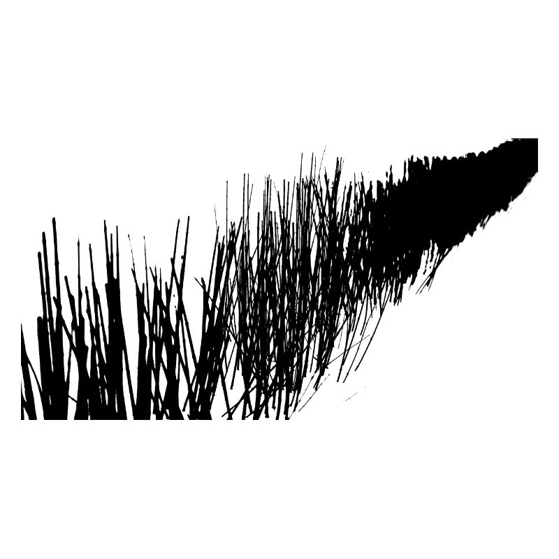 Branches dans la neige