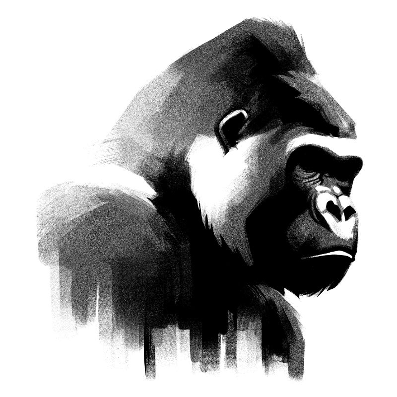 Gorilla Shadow Play