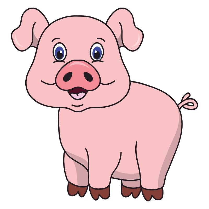 Cochon mignon mignon de porc frais