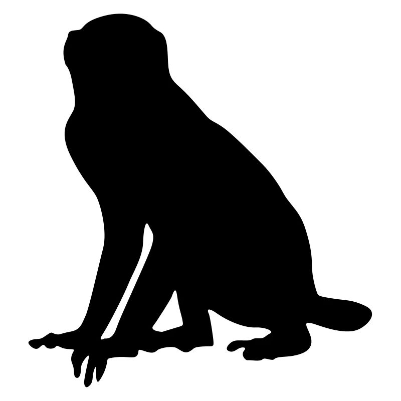 Affe Tier