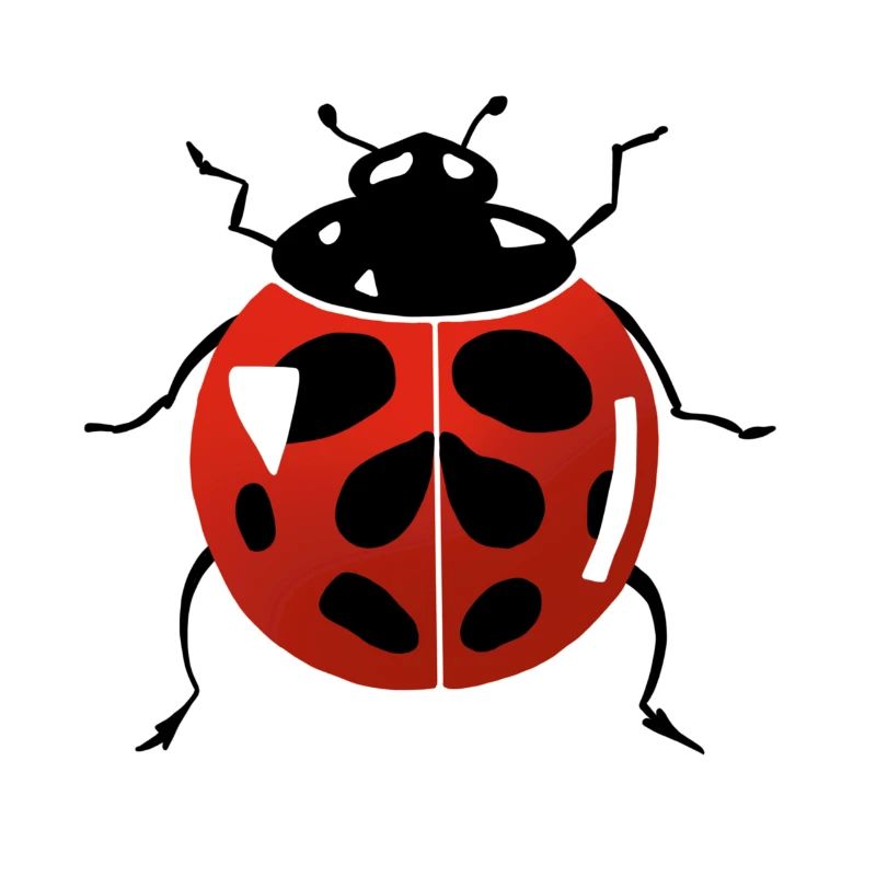Marienkäfer