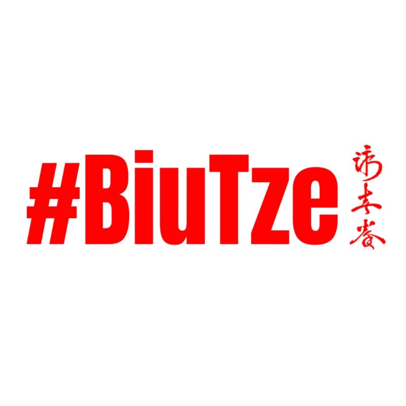 WingTsun BiuTze